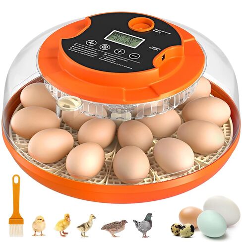 Incubators for Hatching Eggs, 18 Egg Incubator with Automatic Egg Turning and Humidity Control Incubator for Chicken Duck Quail Home Lab Classroom, 2 Type Tray in Kuwait
