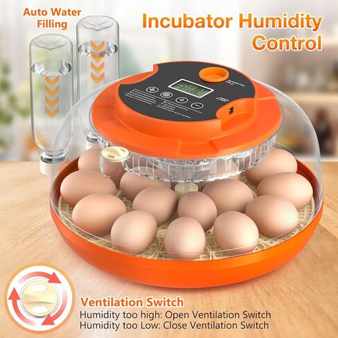 Incubators for Hatching Eggs, 18 Egg Incubator with Automatic Egg Turning and Humidity Control Incubator for Chicken Duck Quail Home Lab Classroom, 2 Type Tray in Kuwait