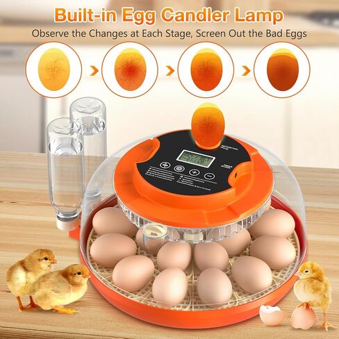 Incubators for Hatching Eggs, 18 Egg Incubator with Automatic Egg Turning and Humidity Control Incubator for Chicken Duck Quail Home Lab Classroom, 2 Type Tray in Kuwait