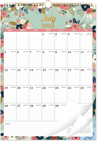 Calendar 2024-2025 - Wall Calendar 2024-2025, 18 Monthly Calendar from Jul. 2024 - Dec. 2025, 12" x 17", 2024-2025 Wall Calendar With Twin-Wire Binding - Green in Kuwait