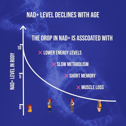 UpNourish NMN 500mg 120 كبسولة - مكمل بيتا نيكوتيناميد أحادي النوكليوتيد NAD - بديل نيكوتيناميد ريبوسيد للنساء والرجال in Kuwait