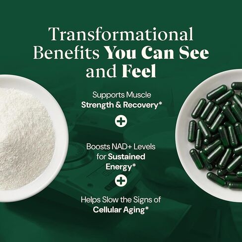 10 في 1 أوروليثين أ 1250 مجم مركب ليبوسومال لطول العمر | ث. NAD+، نيكوتيناميد ريبوسيد وريسفيراترول | دعم الميتوكوندريا يعزز الطاقة الخلوية ومكافحة الشيخوخة وتعافي العضلات in Kuwait