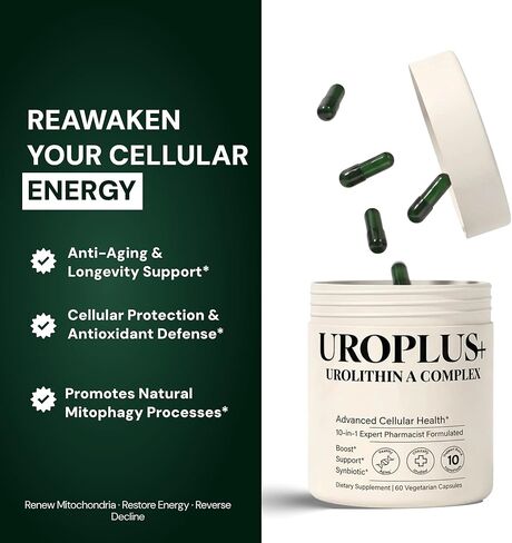 10 في 1 أوروليثين أ 1250 مجم مركب ليبوسومال لطول العمر | ث. NAD+، نيكوتيناميد ريبوسيد وريسفيراترول | دعم الميتوكوندريا يعزز الطاقة الخلوية ومكافحة الشيخوخة وتعافي العضلات in Kuwait