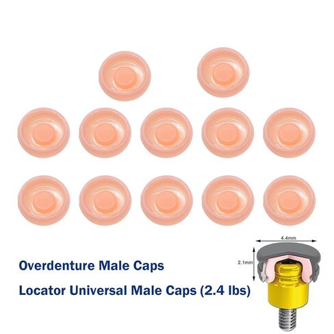 12Pcs Implants Overdenture Locator Replacement Standard/Extended Removable Male Cap Retention Inserts Caps (12Pcs-2.4lbs Standard Male Caps Inserts) in Saudi Arabia