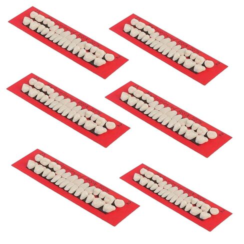 Dental Resin Fake Teeth Dentures Upper and Lower Synthetic Resin Teeth 6 Sets Complete Acrylic Resin Teeth Denture Dental 168Pcs in Kuwait
