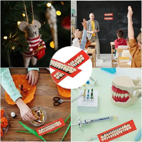 Dental Resin Fake Teeth Dentures Upper and Lower Synthetic Resin Teeth 6 Sets Complete Acrylic Resin Teeth Denture Dental 168Pcs in Kuwait