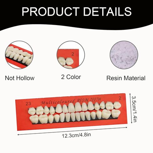 Dental Resin Fake Teeth Dentures Upper and Lower Synthetic Resin Teeth 6 Sets Complete Acrylic Resin Teeth Denture Dental 168Pcs in Kuwait