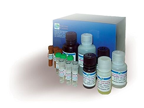 Acetylcholinesterase Assay Kit (DACE-100) in Kuwait