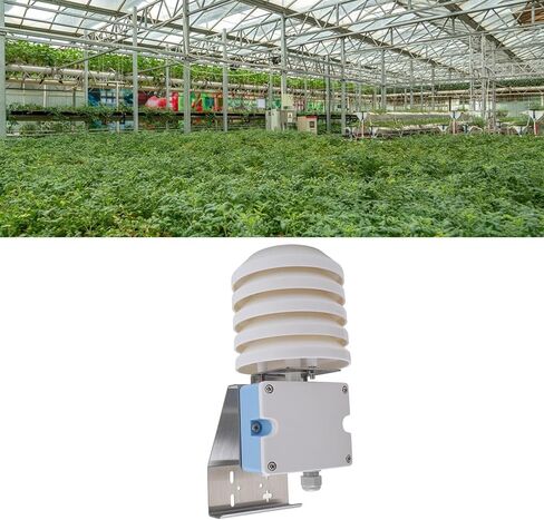Qiilu Outdoor Weather Transmitter Lo Er Box Temperature Humidity Sensor P65 Rating Wireless Temperature Humidity Monitor in Saudi Arabia