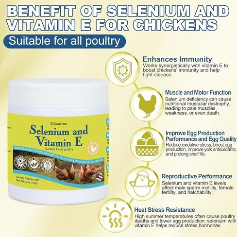 مسحوق السيلينيوم وفيتامين هـ للدجاج، السيلينيوم للدجاج، جهاز المناعة، دعم العضلات ومنعها، تحسين الرقبة الملتوية، السيلينيوم، مكملات فيتامين هـ، مناسب لجميع الدواجن والدجاج والمزيد in Kuwait