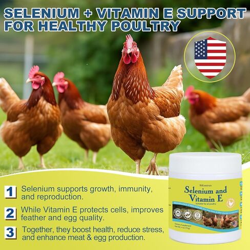 مسحوق السيلينيوم وفيتامين هـ للدجاج، السيلينيوم للدجاج، جهاز المناعة، دعم العضلات ومنعها، تحسين الرقبة الملتوية، السيلينيوم، مكملات فيتامين هـ، مناسب لجميع الدواجن والدجاج والمزيد in Kuwait