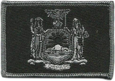 Tactical State Patch - New York - View Colors in Saudi Arabia