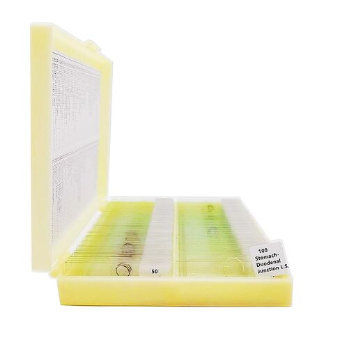 100 قطعة شرائح معدة من قبل علم الأنسجة HM لمعايير تصدير التدريس الطبي in Kuwait