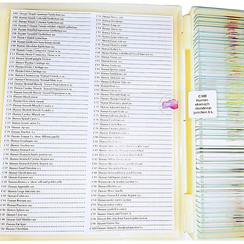 100 قطعة شرائح معدة من قبل علم الأنسجة HM لمعايير تصدير التدريس الطبي in Kuwait