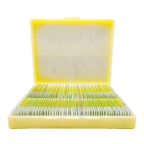 100 قطعة شرائح معدة من قبل علم الأنسجة HM لمعايير تصدير التدريس الطبي in Kuwait