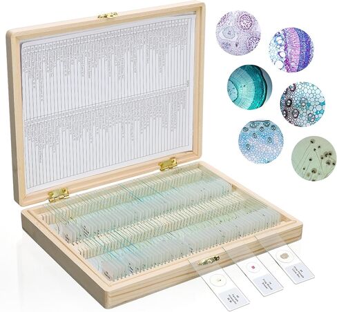 100PCS Microscope Slides with Specimens Prepared Slides Set with Wooden Box Dim.75mmx25mm, Ground Edges, 45° Safety Corners for Kids, Adults LVQ092 in Saudi Arabia