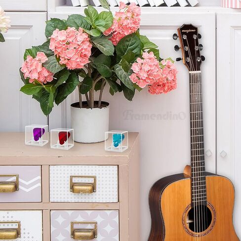 Framendino, 3 Pack Acrylic Guitar Pick Display Case Clear Shadow Box Holder for Collectible Decoration in Saudi Arabia