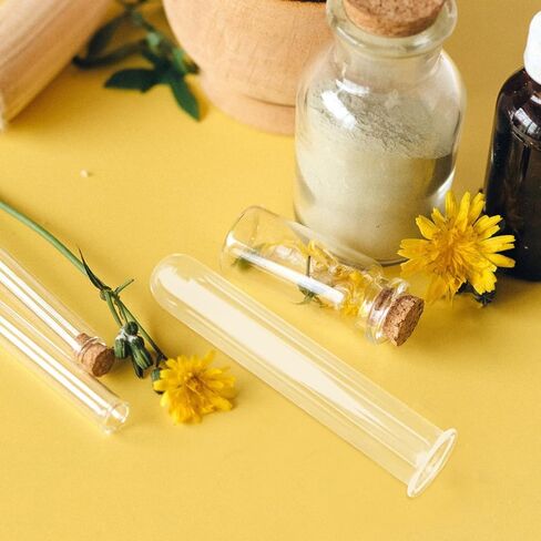 DOITOOL Propagation Tubes : 4pcs Glass Test Tubes for Plants, Flowers, Wall Terrarium, Hydroponic Cuttings for Home Office Wall Decor in Saudi Arabia