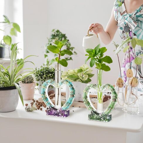 24 Pcs Glass Test Tubes with Cork, 80ml Clear Test Tubes with Tube Rack, 25 x 200mm Glass Lab Tube for Plants, Decorations, Experiments in Kuwait