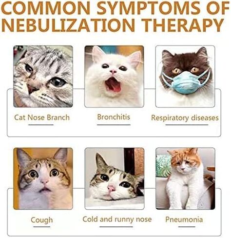 صندوق الانحلال من KRASS، الحيوانات الأليفة، الكلاب، القطط، الأكسجين الحيواني، قفص العناية المركزة، محطة تربية الحيوانات الأليفة الكبيرة للعلاج، صندوق رذاذ السعال التنفسي، 28 لتر، Collector88 in Kuwait