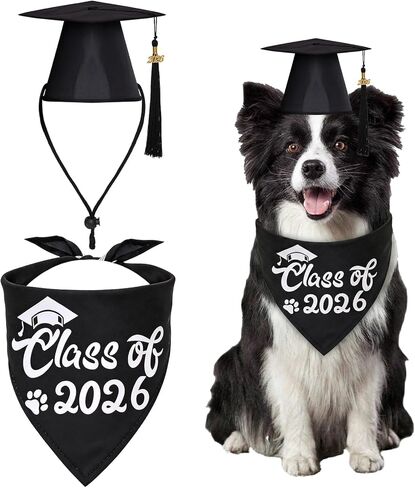 تخرج الكلاب قبعة التخرج باندانا مع 2025 Gold Tassel Dog Cat Treafuity Gifts Cosplay Gifts for Small Mediance كبيرة الكلاب in Kuwait