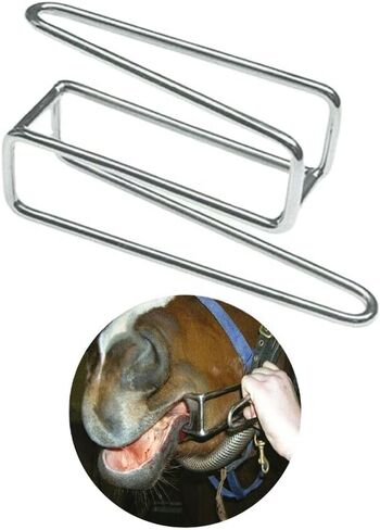 أداة طب أسنان الخيول، أداة طب الأسنان للخيول، مقاس قياسي من الفولاذ المقاوم للصدأ. وهو مصمم ليكون سهل الاستخدام لجميع الأطباء البيطريين. in Kuwait