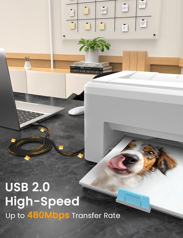كابل طابعة Sinoacc USB A إلى USB B كابل طابعة ماسح ضوئي مجدول من النايلون عالي السرعة 480 ميجا بت في الثانية متوافق مع لوحة مفاتيح HP Canon Dell Epson Brother Piano DAC Midi - موصلات مطلية بالذهب، أسود، 10 أقدام in Kuwait