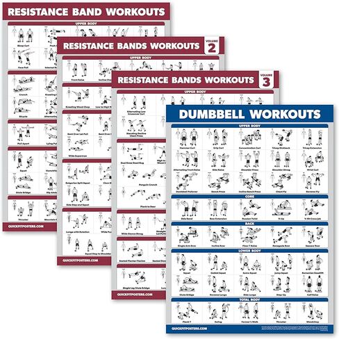 Palace Learning 4 Pack - Resistance Bands Workout Posters Volume 1, 2 & 3 + Dumbbell Exercise Chart (LAMINATED, 18" x 24") in Saudi Arabia