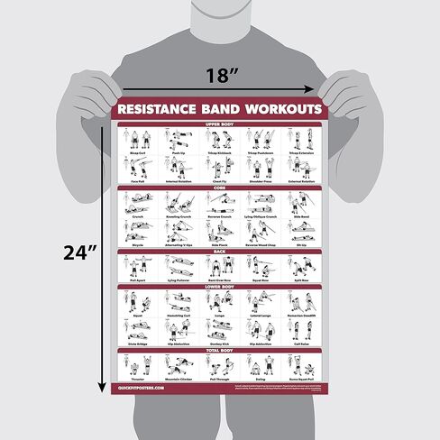 Palace Learning 4 Pack - Resistance Bands Workout Posters Volume 1, 2 & 3 + Dumbbell Exercise Chart (LAMINATED, 18" x 24") in Saudi Arabia