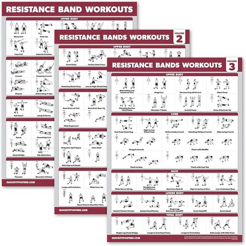 Palace Learning 4 Pack - Resistance Bands Workout Posters Volume 1, 2 & 3 + Dumbbell Exercise Chart (LAMINATED, 18" x 24") in Saudi Arabia