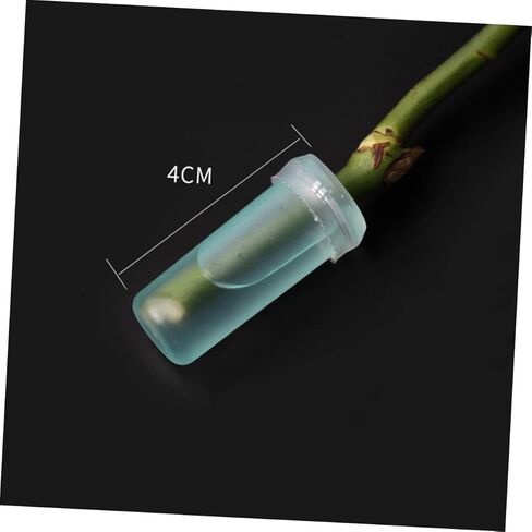 Kisangel 20PCS Floral Water Tubes Flowers Sky Blue Nutrition Culture Water Storage Test Vials for Flower Shop Supplies 4.1x1.8cm for Arrangements in Saudi Arabia
