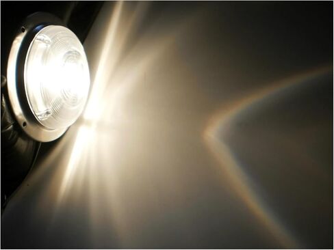 D-61 مصباح قبة داخلي دائري مقاس 6 بوصات مع مقطورة تخييم RV بقاعدة من الفولاذ المقاوم للصدأ in Saudi Arabia
