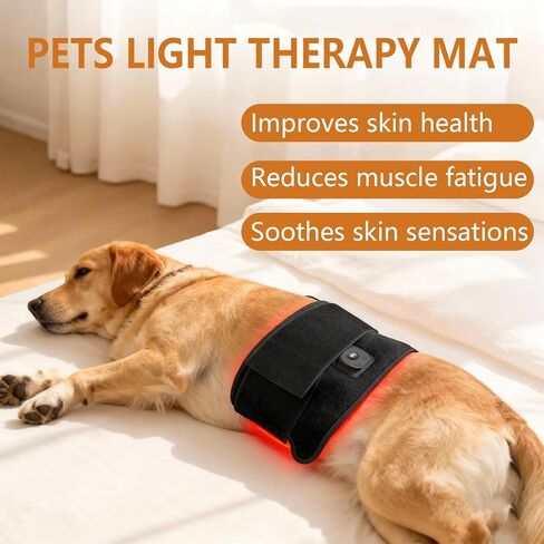 العلاج بالضوء الأحمر من Luma Pet - حزام العلاج بالضوء الأحمر للكلاب، جهاز العلاج بالضوء الأحمر بالأشعة تحت الحمراء لتخفيف الورك والمفاصل والظهر (10.6 بوصة × 5.1 بوصة) in Saudi Arabia