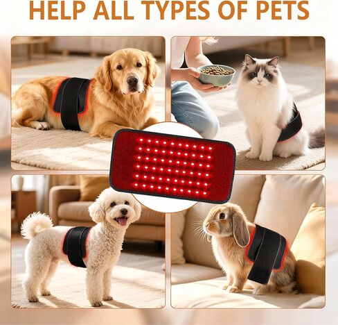 العلاج بالضوء الأحمر من Luma Pet - حزام العلاج بالضوء الأحمر للكلاب، جهاز العلاج بالضوء الأحمر بالأشعة تحت الحمراء لتخفيف الورك والمفاصل والظهر (10.6 بوصة × 5.1 بوصة) in Saudi Arabia