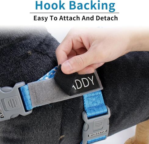 Do Not Pet Service Dog ID Tag, Double Side Engraved Medical Alert Symbol Easily Attach to Collar, Harness (Small-0.98 inch) in Kuwait