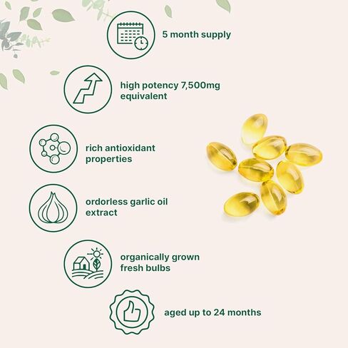 Aged Garlic Extract 300 Softgels - 7500mg High Potency, Odorless Garlic, Non-GMO Aged Garlic Supplement for Heart Health, Immune Support & Antioxidant Benefits | 2 Years Aged Garlic Extract in Saudi Arabia