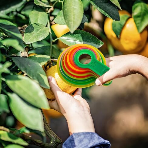 Yardwe Fruit Measuring Caliper Set - Plastic Diameter Measuring Laps for Oranges Citrus - Accurate Fruit Size Tool for Farms Markets Stores - 5.90X5.00X1.96 Inches in Saudi Arabia