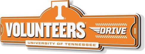 YouTheFan NCAA 3D Street Sign, precision-crafted, ready-to-hang wall art, officially licensed and stylish addition for the ultimate team fan in Saudi Arabia