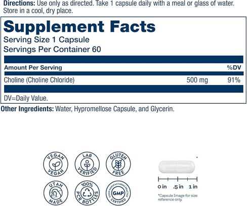 SOLARAY Choline 500 mg – Cognitive, Brain Health and Liver Support Supplement – Powerful Brain Supplement & Choline Source for Adults – Odor-Free, Vegan Liquid VegCaps – 60 Servings, 60 Capsules in Saudi Arabia