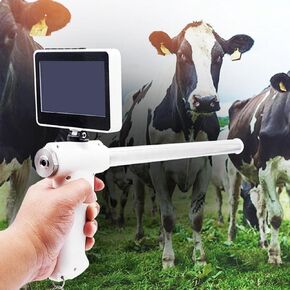 Digital Endoscope for Cattle & Horse - Mini Gun Camera with Heating Function, Precision Tool for Veterinary Use, Enhanced Control for Optimal Inspections and Results in Kuwait