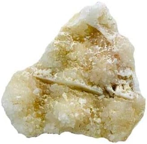 SKRoyal 2.6-2.8# جاسبر، مجموعة سيبتاريان in Saudi Arabia