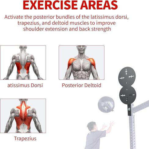 هدف كرة الحائط | لوحات فردية ومزدوجة شديدة التحمل لتدريب كرة الحائط، هدف كرة طبية لقفص الطاقة والرفوف، واللياقة البدنية في صالة الألعاب الرياضية تعزز القوة والقوة المتفجرة in Kuwait