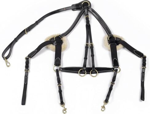 Whitaker Valencia Leather 5-Point Breastplate in Saudi Arabia