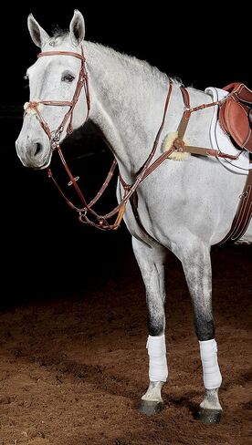Whitaker Valencia Leather 5-Point Breastplate in Saudi Arabia