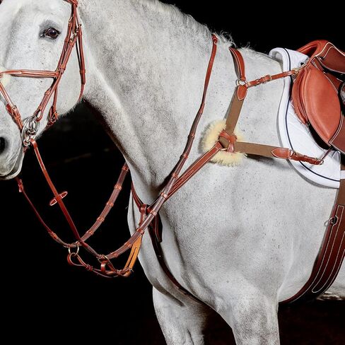 Whitaker Valencia Leather 5-Point Breastplate in Saudi Arabia