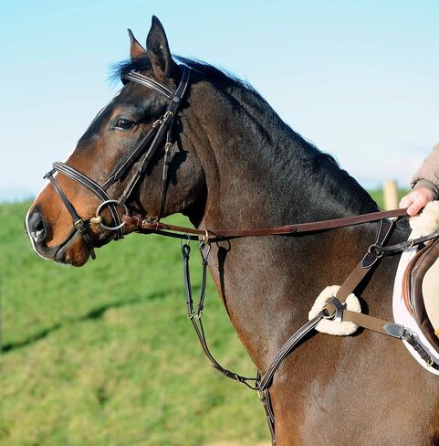 Whitaker Valencia Leather 5-Point Breastplate in Saudi Arabia