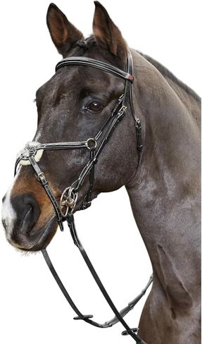 Whitaker Valencia Leather 5-point Breastplate in Saudi Arabia