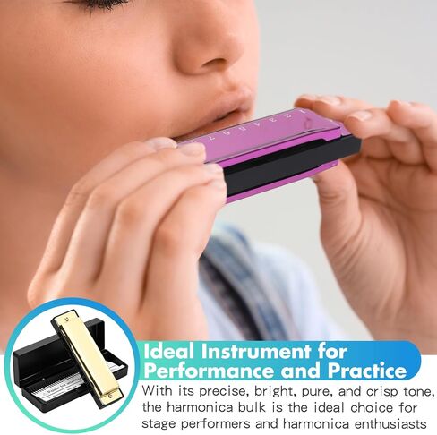 Boao 10 Pcs Harmonica Set Harmonica with Case 10 Hole 10 Tones Titanium Color Diatonic Chromatic Harmonicas Musical Mouth Organ for Beginner Students Professionals Adults Instruments Gifts, 4 Colors in Kuwait