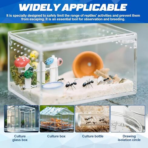 JAOJAO Anti-Escape Coating Creates Slippery Non-Drying Barrier with Brush Easy Application Wear Resistant Long-Lasting Protection Stop Reptiles Anti-Escape Protection, 15ml in Kuwait