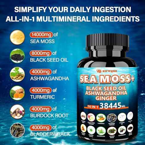 Ashwagandha Sea Moss Capsules with Black Seed Oil, Ginger & Turmeric – 16 in 1 Herbal Complex with Irish Sea Moss, Apple Cider Vinegar, Burdock, Bladderwrack, Vitamin C & D3 – 120 Capsules in Saudi Arabia